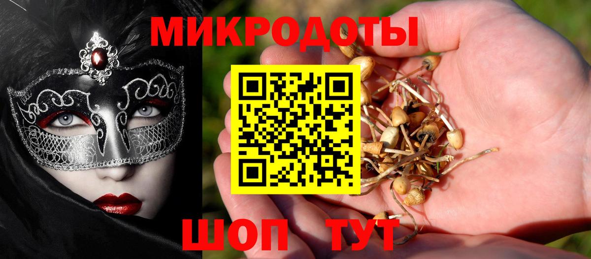 Люберцы  Псилоцибиновые грибы Cubensis  Вход с VPN 
